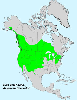 North America species range map for American Deervetch, Vicia americana: